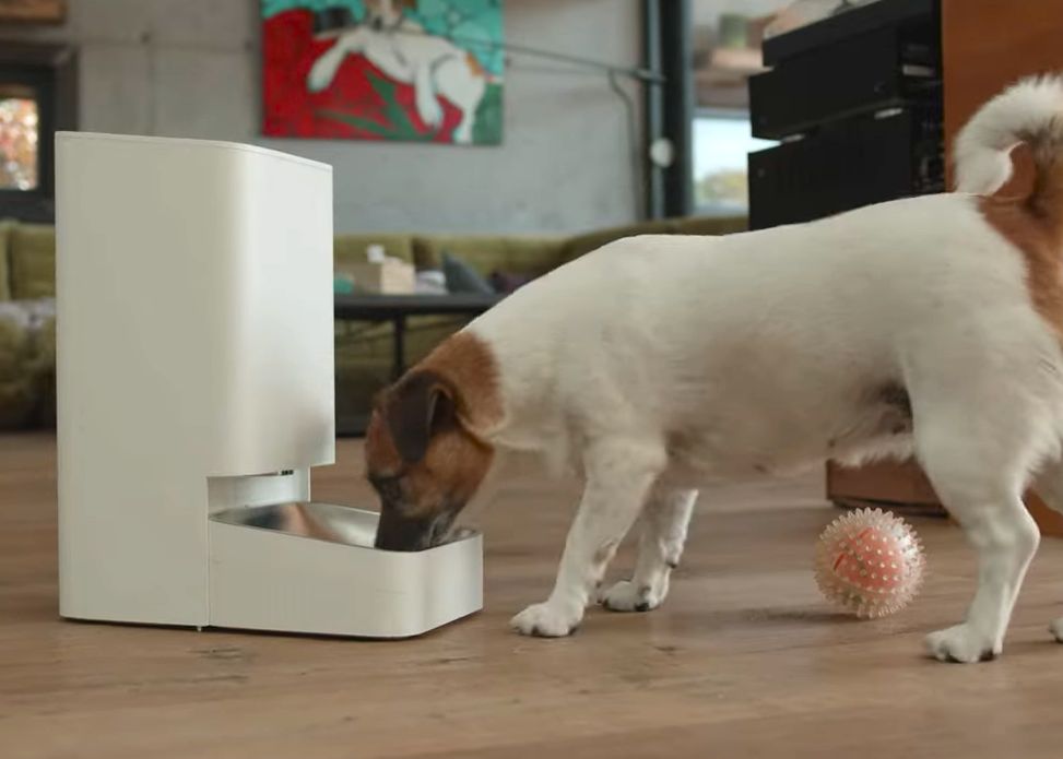 Xiaomi Smart Pet Food Feeder